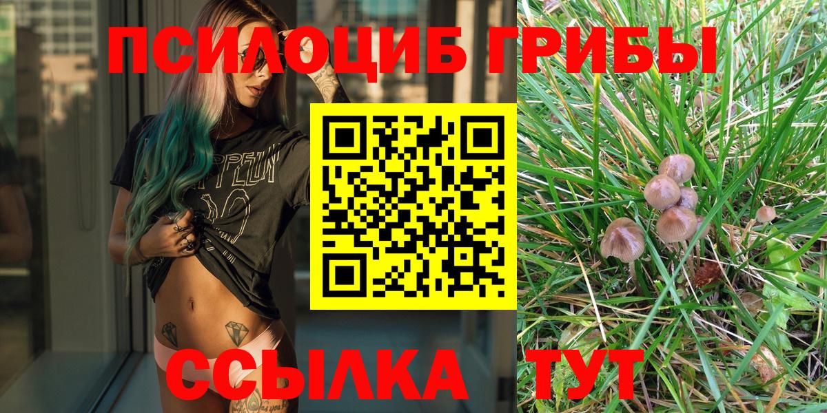 Гатчина  купить  цена  Псилоцибиновые грибы Psilocybine cubensis  Вход с VPN  Псилоцибиновые грибы мухоморы 